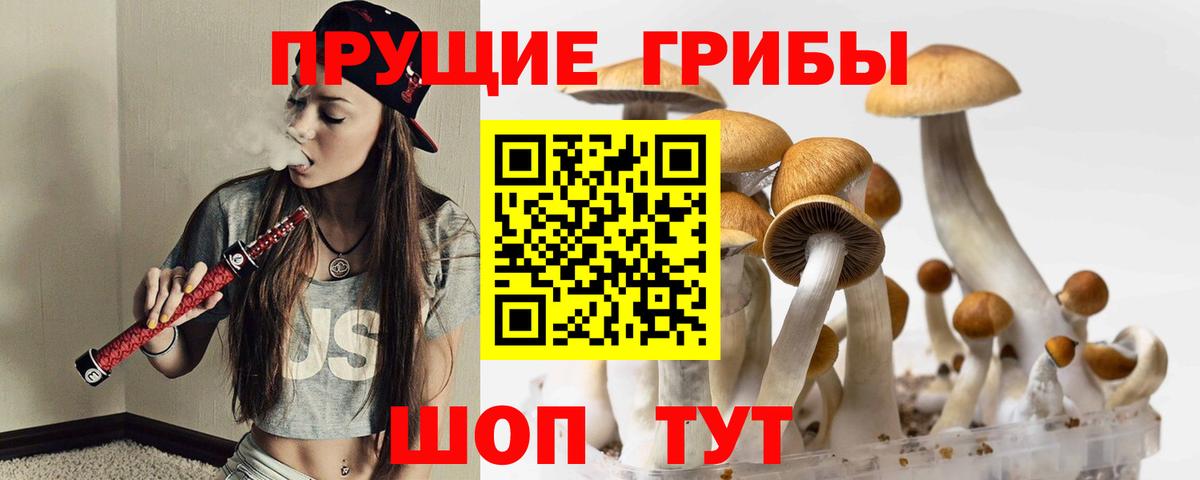 Южноуральск  Псилоцибиновые грибы Cubensis  Галлюциногенные грибы Magic Shrooms  Вход с VPN 